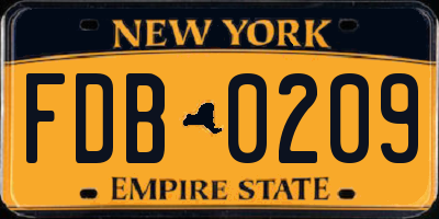 NY license plate FDB0209