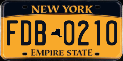 NY license plate FDB0210