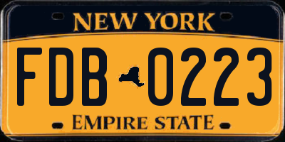NY license plate FDB0223