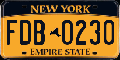 NY license plate FDB0230