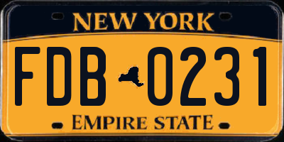 NY license plate FDB0231