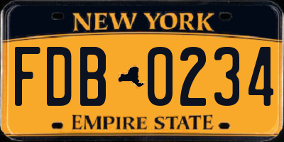 NY license plate FDB0234