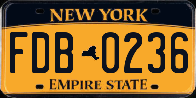 NY license plate FDB0236