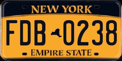 NY license plate FDB0238