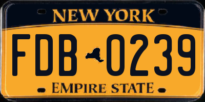 NY license plate FDB0239