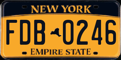 NY license plate FDB0246