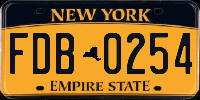 NY license plate FDB0254