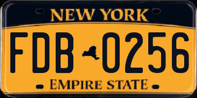 NY license plate FDB0256
