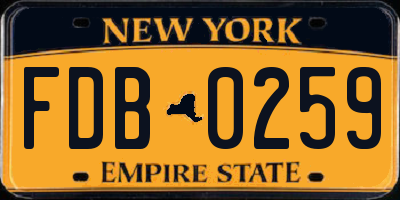NY license plate FDB0259