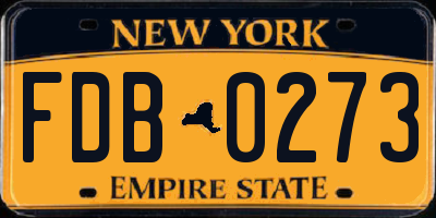 NY license plate FDB0273