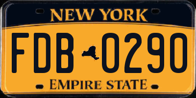 NY license plate FDB0290