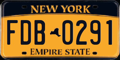 NY license plate FDB0291