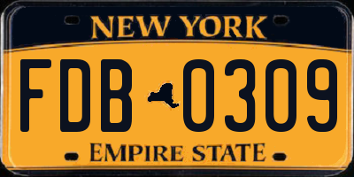 NY license plate FDB0309