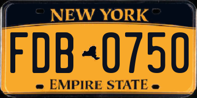 NY license plate FDB0750