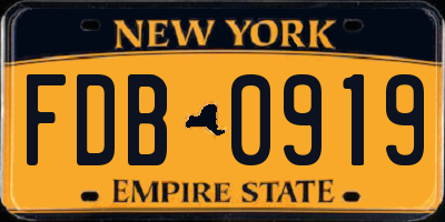 NY license plate FDB0919