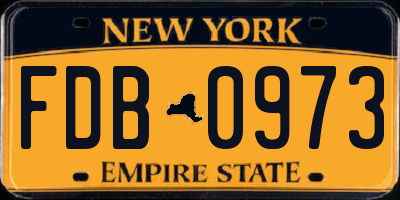 NY license plate FDB0973