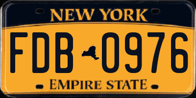 NY license plate FDB0976