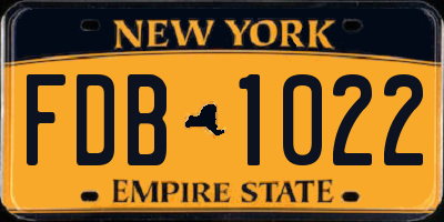 NY license plate FDB1022
