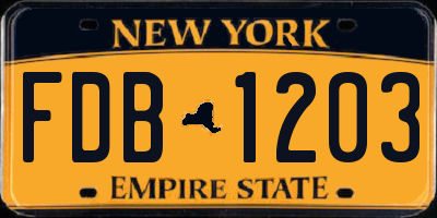 NY license plate FDB1203