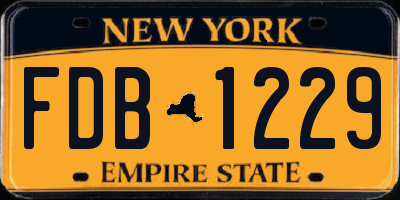 NY license plate FDB1229