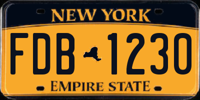 NY license plate FDB1230