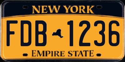 NY license plate FDB1236