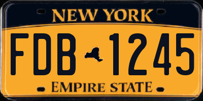 NY license plate FDB1245