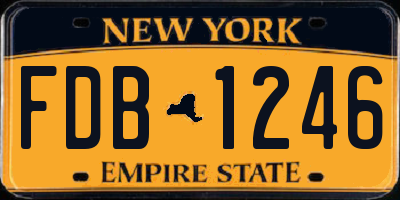 NY license plate FDB1246