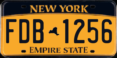 NY license plate FDB1256