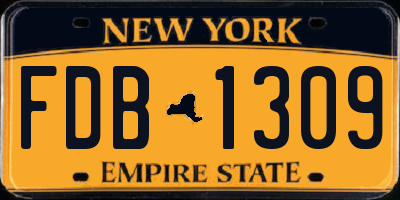 NY license plate FDB1309