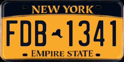 NY license plate FDB1341