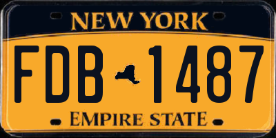 NY license plate FDB1487