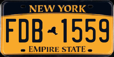 NY license plate FDB1559
