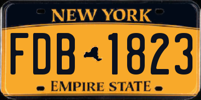 NY license plate FDB1823