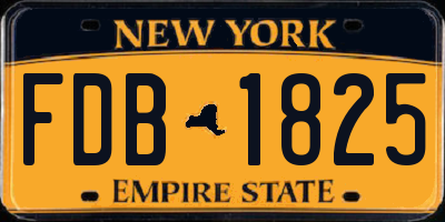 NY license plate FDB1825