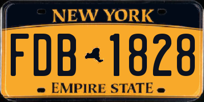 NY license plate FDB1828