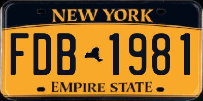 NY license plate FDB1981
