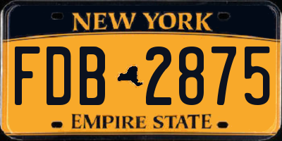 NY license plate FDB2875