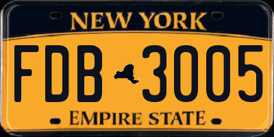 NY license plate FDB3005