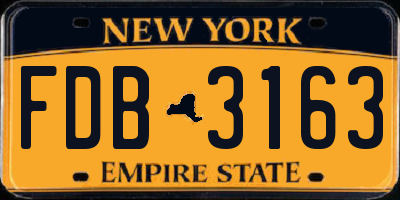 NY license plate FDB3163