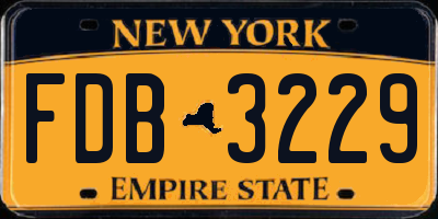 NY license plate FDB3229