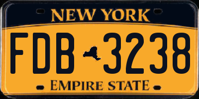 NY license plate FDB3238