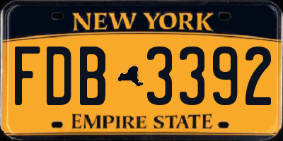 NY license plate FDB3392