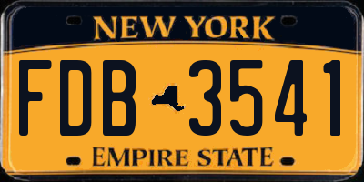 NY license plate FDB3541