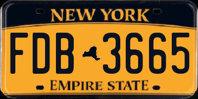 NY license plate FDB3665