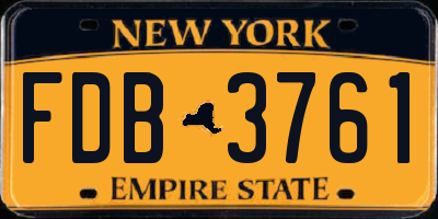 NY license plate FDB3761
