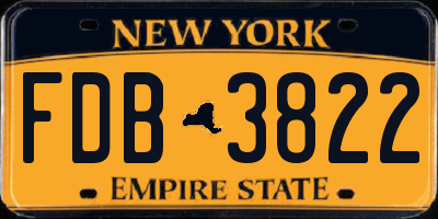 NY license plate FDB3822