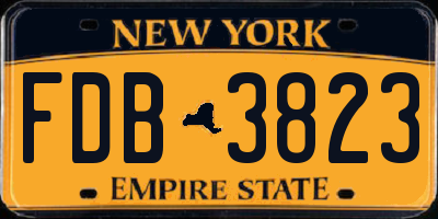 NY license plate FDB3823