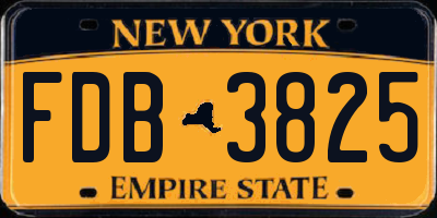 NY license plate FDB3825