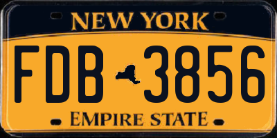 NY license plate FDB3856
